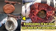 Doğanın Korkutucu Yüzünü İliklerinize Kadar Hissetmenize Sebep Olacak Birbirinden Ürkütücü 15 Yeni Fotoğraf