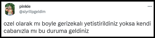 👇