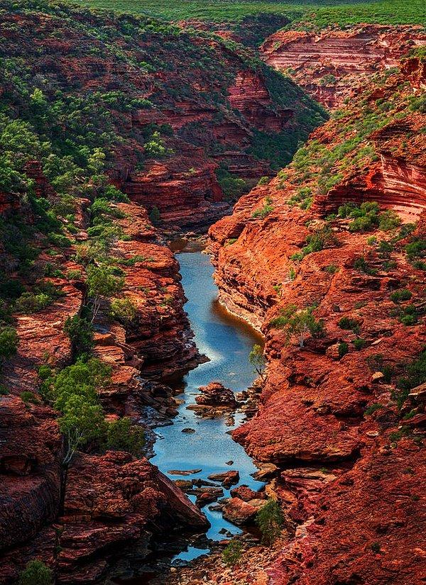 8. Z Bend' den kanyon manzaraları...(Batı Avustralya):