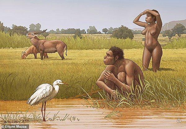 Araştırmacılar, yaklaşık 500 bin yıl önce Afrika'da yaşayan bir insan türü bulduklarını iddia ederken dönemin Afrika ve Güney Doğu Avrupa'dan Orta Pleistosen insanlarının çoğunluğunu açıklayabilecek.