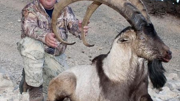 Para karşılığında ya da keyfi olarak canlıların avlanması ise bizleri ve tüm hayvanseverleri bir kez daha derinden üzdü.