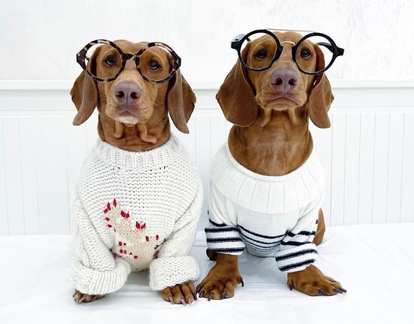 «Я купила мини-кроксы всех цветов, которые смогла найти»