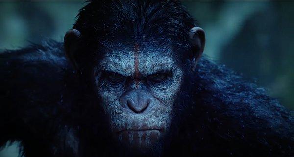 12. Dawn of the Planet of the Apes (2014)
