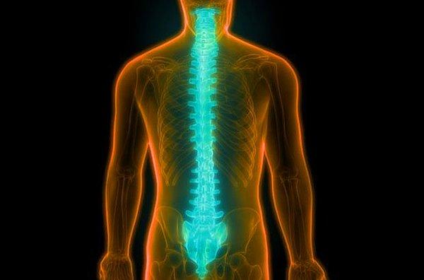 Hem hassas hem de her yönden sağlığı etkileyen omurilik yaralanmalarında da nöronlar ölebiliyor.