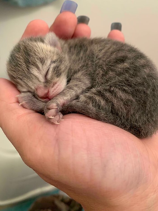 3. Такая маленькая, а уже имеет серьезный маникюр