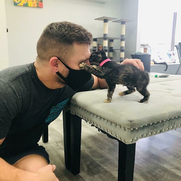 4. Не связывайтесь с этим малышом