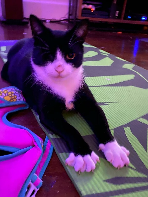 14. Какой красавчик)