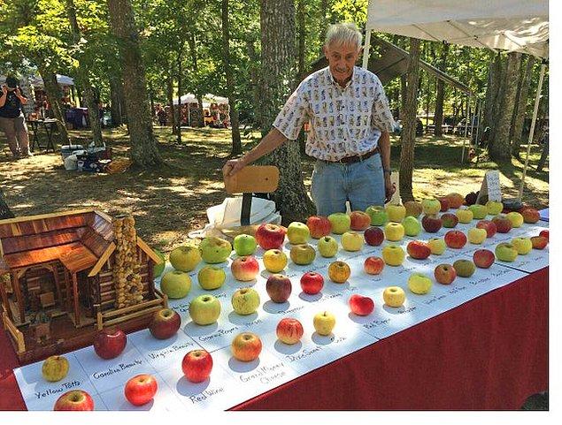 3. Emekli mühendis Tom Brown, 25 yılda yaklaşık 1.200 elma çeşidini yok olmaktan kurtarmıştır.