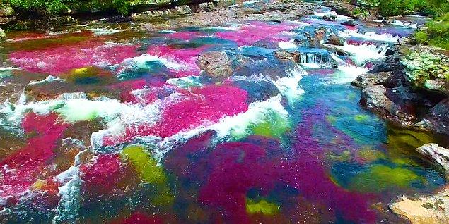 8. Rengarenk bir nehirde yüzebilir, çevresinde dolaşabilirsiniz.