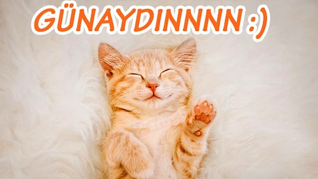 Günaydın Mesajı Kısa