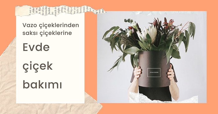 Sürekli Solmasından Şikayet Edenlere: Evde Çiçek Bakımı Nasıl Olmalı, Anlatıyoruz!