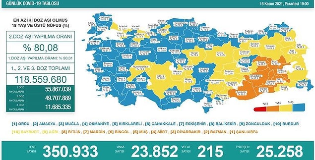 15 Kasım Koronavirüs Tablosu