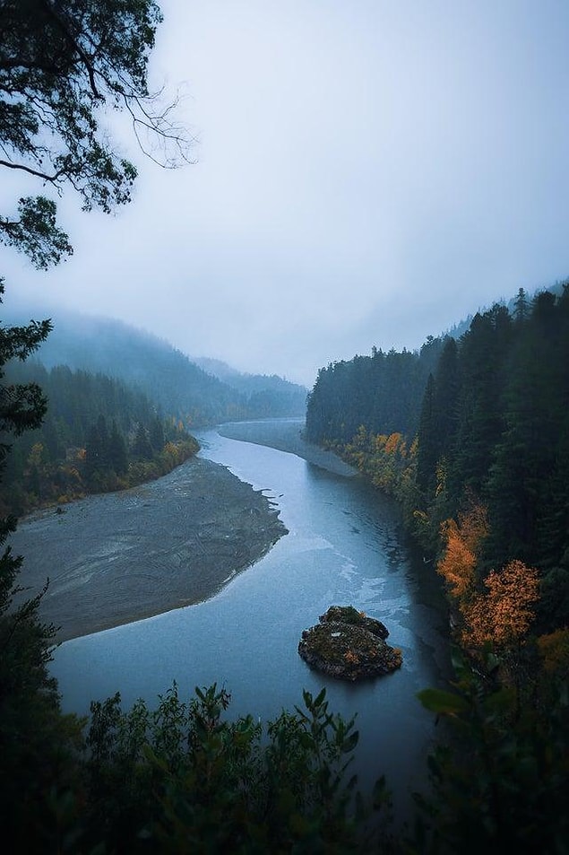 10. Eel River, Avenue of the Giants