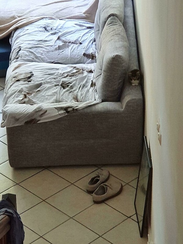 9. Найдите котика