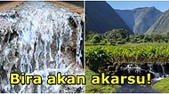 Boş Şişeleri Yanınızda Getirin! Hawaii'de Bir Akarsuda 'Alkol' Tespit Edildi