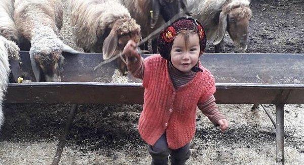 Mersin'in Gülnar ilçesinde Yörük ailenin 2,5 yaşındaki kızı Müslüme’nin çadırlarının önünde bisikletiyle oynarken ortadan kaybolmuştu.
