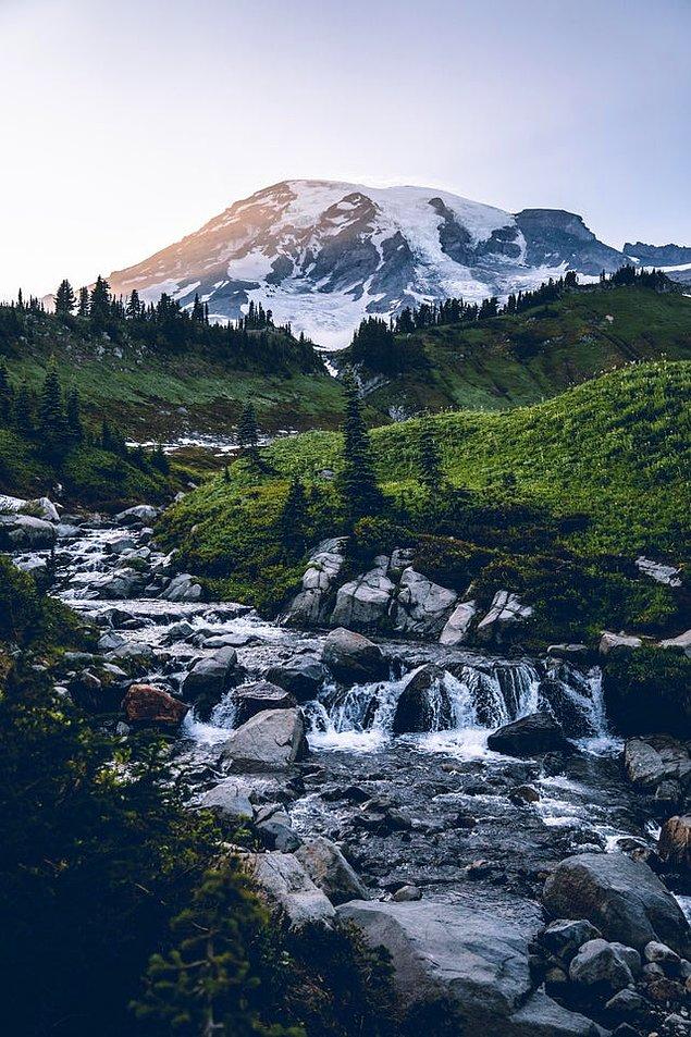 10. Rainier Ulusal Parkı'ndaki güzellik.😍