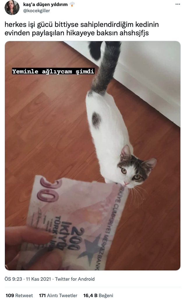 12. Bizim canımız acıdı...