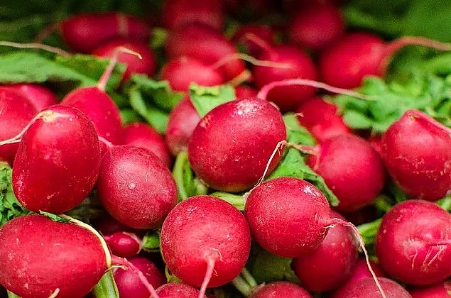 Kırmızı Turpun Besin Değerleri Nedir? Kırmızı Turp Kaç Kaloridir?