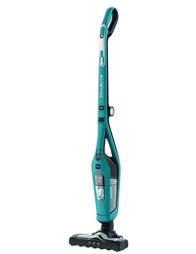 11. Rowenta Dual Force.