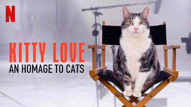 Kitty Love / Kedi Aşkına (2020) - IMDb: 5.1