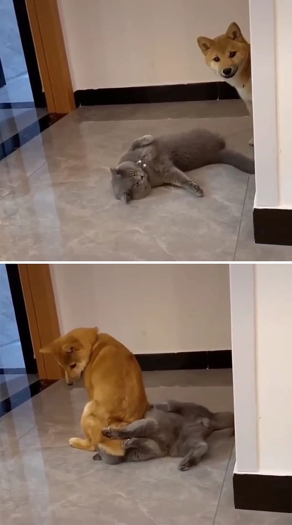 3. Секретное оружие