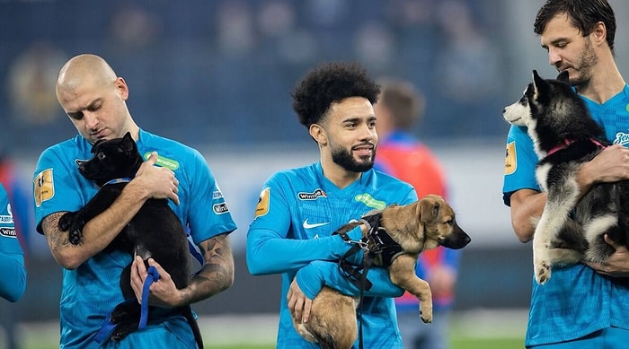 Zenit'in Futbolcuları Rostov Maçına Ellerinde Sahiplenmeyi Bekleyen Köpeklerle Çıktılar 👏