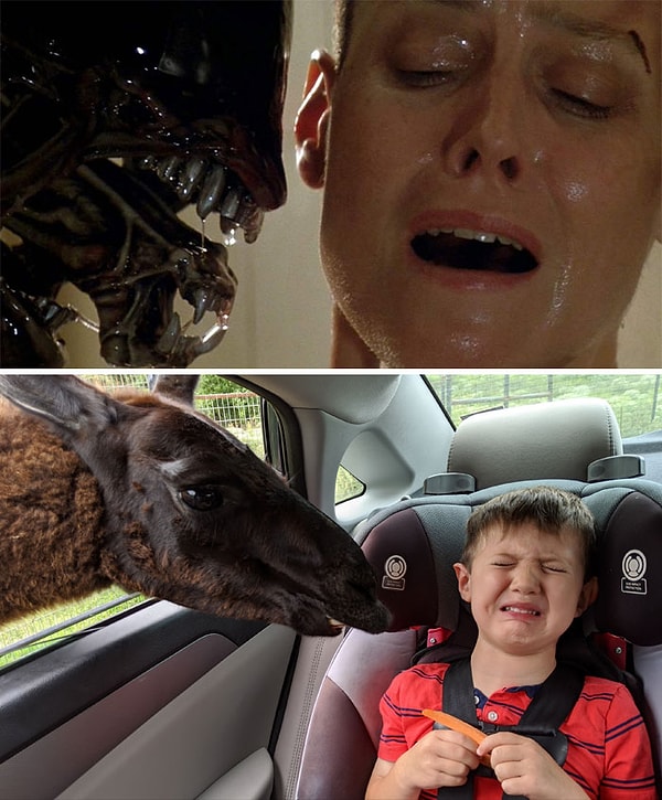 2. Мой ребенок во время поездки на сафари в день рождения