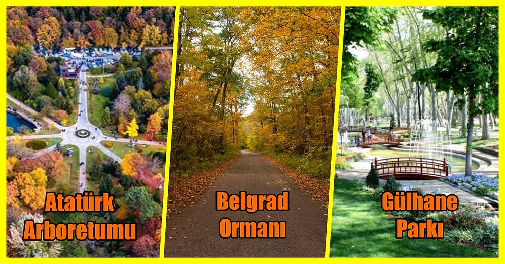 Kalabalıktan Sıkılanlar Buraya: Enerjinizi Yükseltecek İstanbul'da Yer Alan En Güzel Yeşil Alanlar