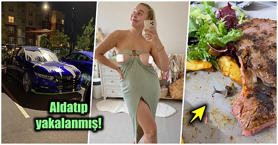 Çöle Düşse Kutup Ayılarıyla Karşılaşıp Birtakım Tatsız Olaylar Yaşayabilecek 15 Bahtsız Kişi