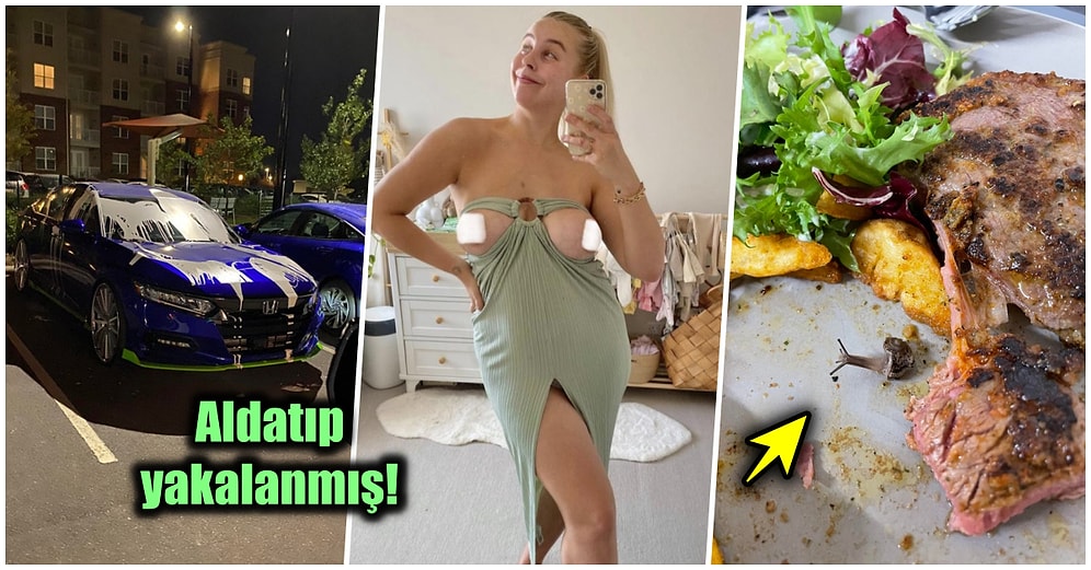 Çöle Düşse Kutup Ayılarıyla Karşılaşıp Birtakım Tatsız Olaylar Yaşayabilecek 15 Bahtsız Kişi