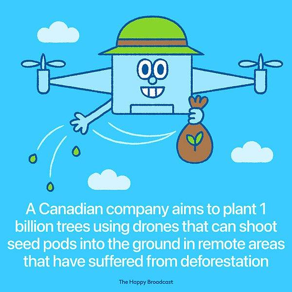 10. "Kanadalı bir şirket, ormansızlaşan alanara drone yardımı ile tohum atmayı planlayarak ağaç dikmeyi hedefliyor."