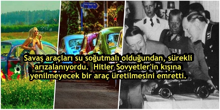 Savaşta Doğdu Barışın Simgesi Oldu! Aşkına Doyamadığımız Vosvos'un Okuyunca Çok Şaşıracağınız Hikayesi