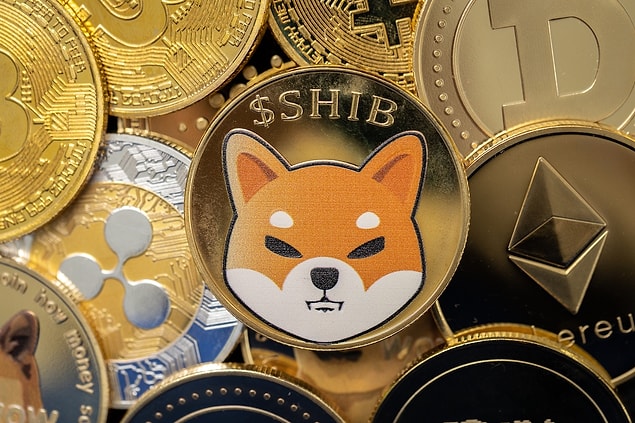 EverGrow Coin ve HUH Token kullanıcıları artıyor.