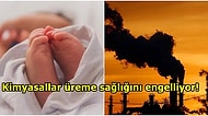 Fosil Yakıt Kirliliği, Küresel Doğurganlık Oranlarındaki Düşüşün Sebebi Olabilir