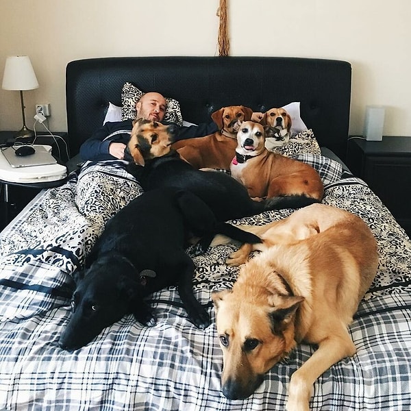 Это Мерт Аккёк, и у него есть частный приют для животных на его ферме недалеко от Стамбула, Турция.