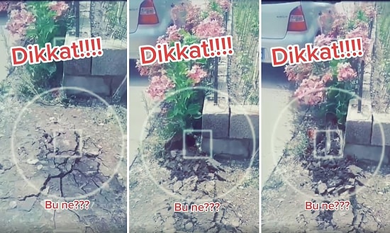 TikTok'ta Paylaşılan Video Yok Artık Dedirtti: İddiaya Göre Yılan Toprağı Yararak Deprem Etkisi Yapıyor