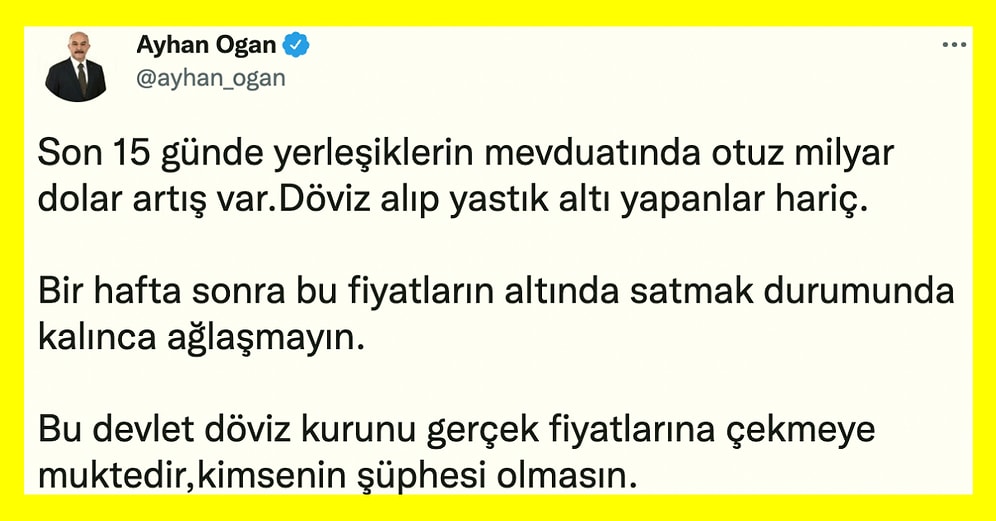 "Devlet Döviz Kurunu Gerçek Fiyatına Çekmeye Muktedir" Diyen Cumhurbaşkanı Danışmanı Oğan, Tepkilerin Odağında