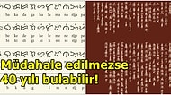 Araştırmalara Göre 1500'den Fazla Dil, Bu Yüzyılın Sonuna Kadar Varlığını Yitirebilir
