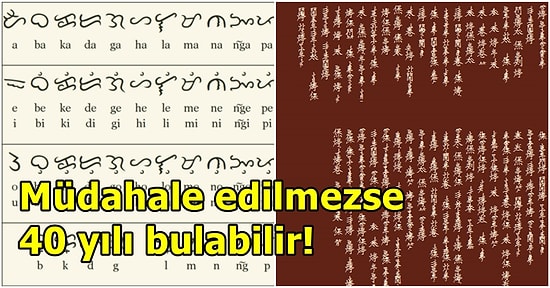 Araştırmalara Göre 1500'den Fazla Dil, Bu Yüzyılın Sonuna Kadar Varlığını Yitirebilir