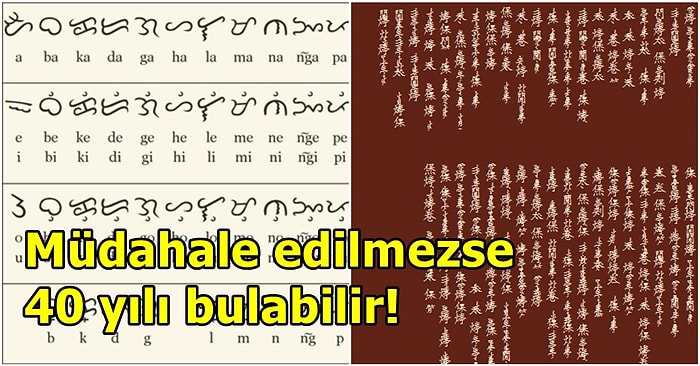 Araştırmalara Göre 1500'den Fazla Dil, Bu Yüzyılın Sonuna Kadar Varlığını Yitirebilir