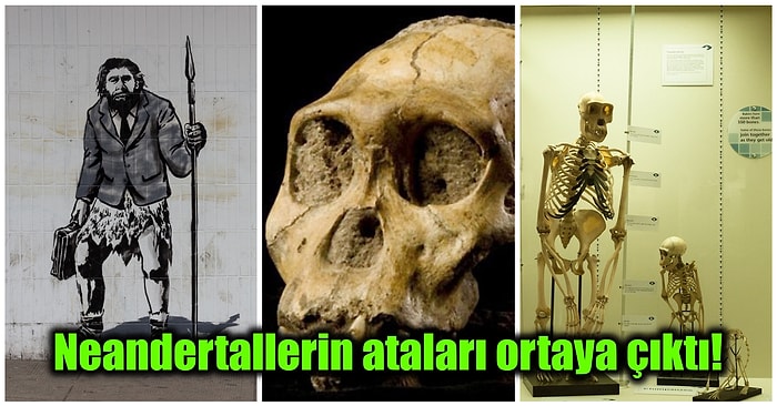 Asırlar Öncesinde Homo Sapien Türü ile Kıyasıya Savaşan Neandertallerin Ataları Kimdi?