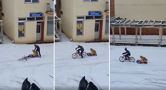 Kızağa Oturttuğu Köpeğini Bisikletle Çeken Ufaklığın İçinizi Isıtacak Görüntüleri