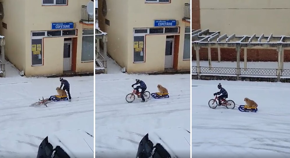 Kızağa Oturttuğu Köpeğini Bisikletle Çeken Ufaklığın İçinizi Isıtacak Görüntüleri