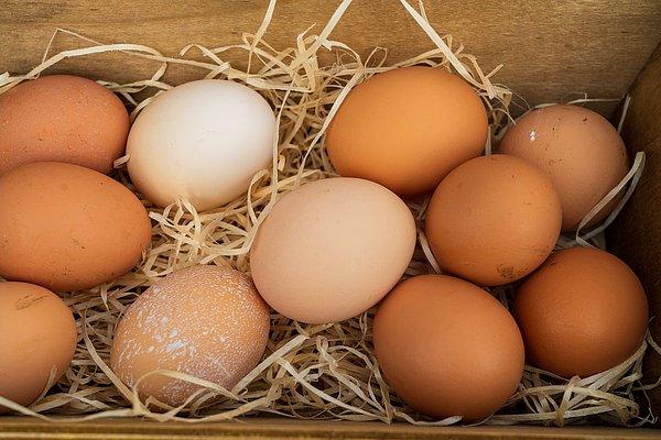 Bununla birlikte, tavukların yaşadığı bölgeye göre yumurtalarının değiştiği de düşünülüyor.