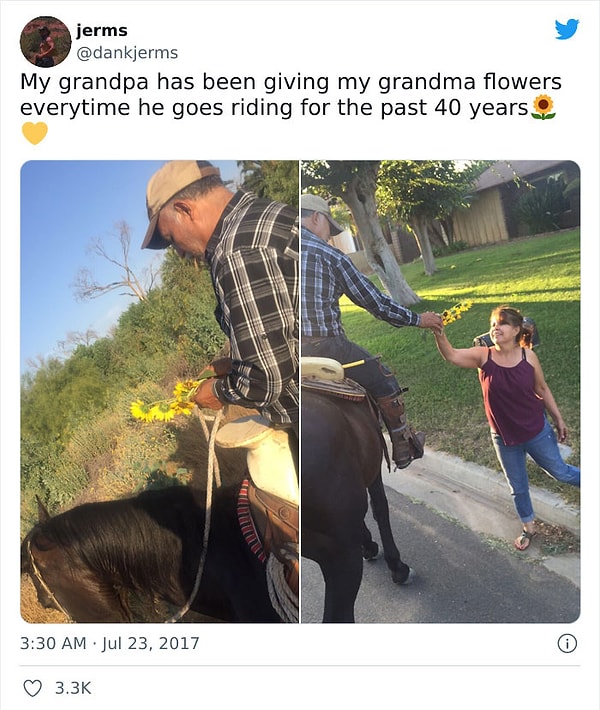 11. Мой дедушка дарит цветы бабушке каждый раз после поездки верхом, вот уже 40 лет