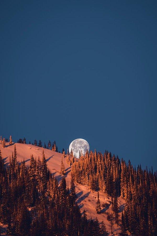 2. Britanya Kolumbiyası'nda Ayın muhteşem görüntüsü:
