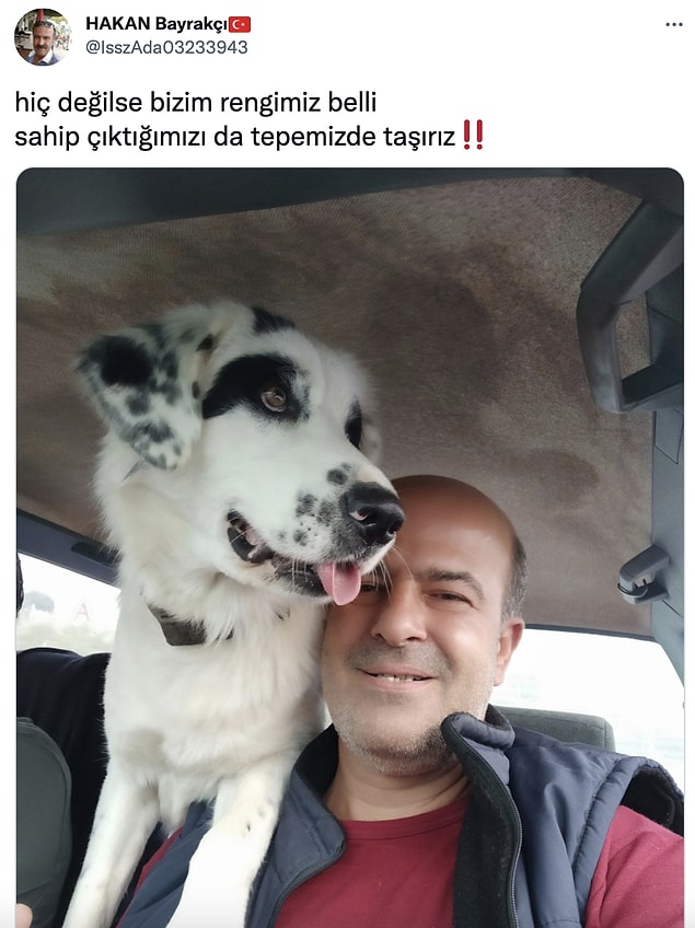 6. Konudan bağımsız, ne kadar güzel bir şeysin sen öyle! 🐾