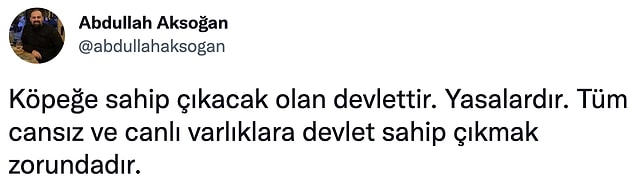 9. Buna ek olarak, ırktan bağımsız olarak herhangi bir köpeği tehlike arz edecek noktaya taşıyanın insanlar olduğunu unutmamak gerekiyor!