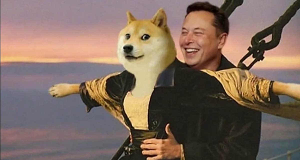 Dogepool